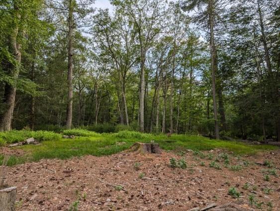 Eldred-Yulan Rd, Call Listing Agent, NY 12792 - photo 7