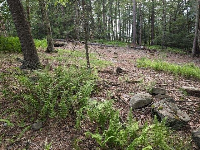 Eldred-Yulan Rd, Call Listing Agent, NY 12792 - photo 13