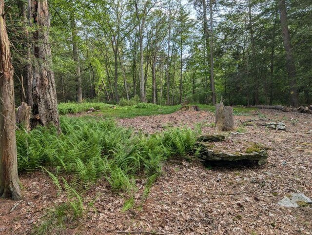 Eldred-Yulan Rd, Call Listing Agent, NY 12792 - photo 14