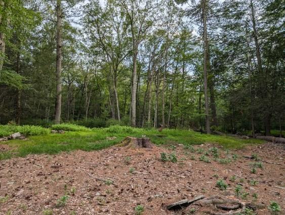 Eldred-Yulan Rd, Call Listing Agent, NY 12792 - photo 15