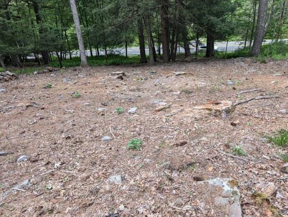 Eldred-Yulan Rd, Call Listing Agent, NY 12792 - photo 16