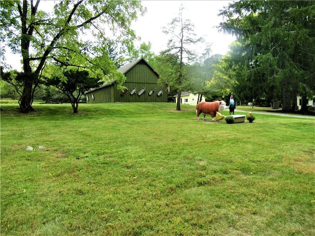 view of yard with an outbuilding