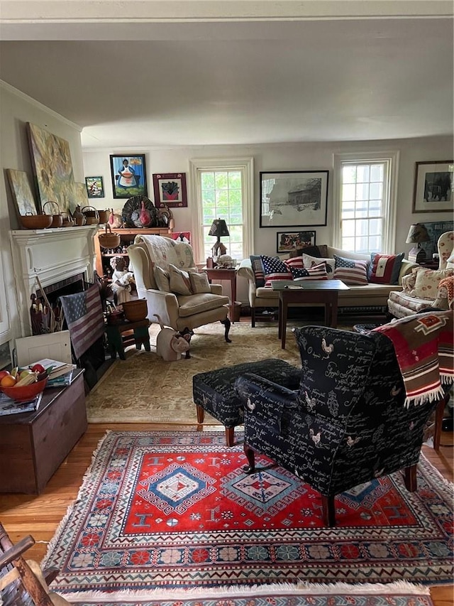 living room with light hardwood / wood-style floors