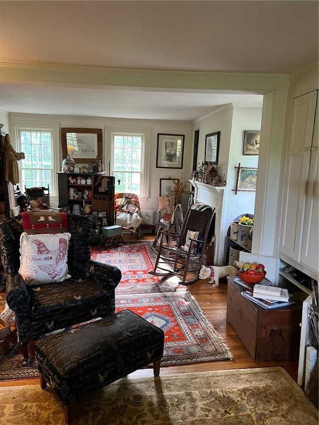 living area featuring wood-type flooring and ornamental molding