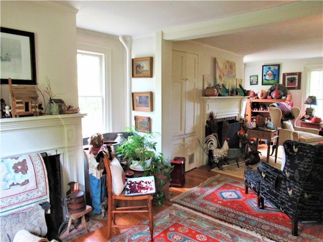 living room with hardwood / wood-style flooring and plenty of natural light