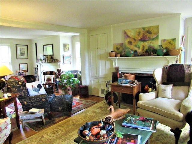 sitting room featuring wood-type flooring