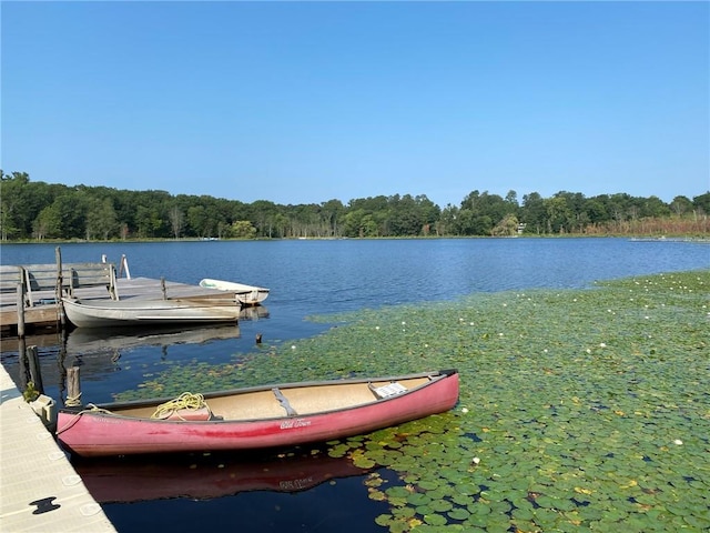 dock area with a water view