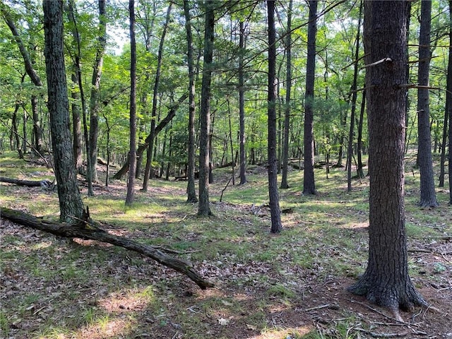 view of landscape