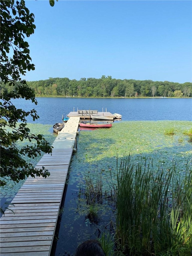 dock area featuring a water view