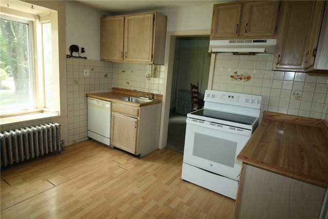 kitchen featuring radiator, sink, light hardwood / wood-style flooring, backsplash, and white appliances