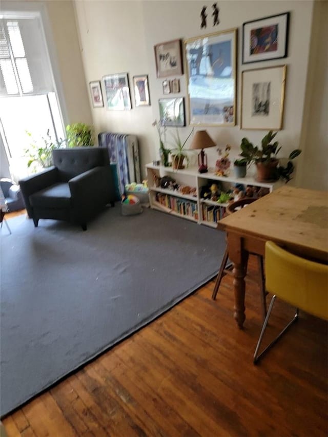 workout room featuring hardwood / wood-style flooring