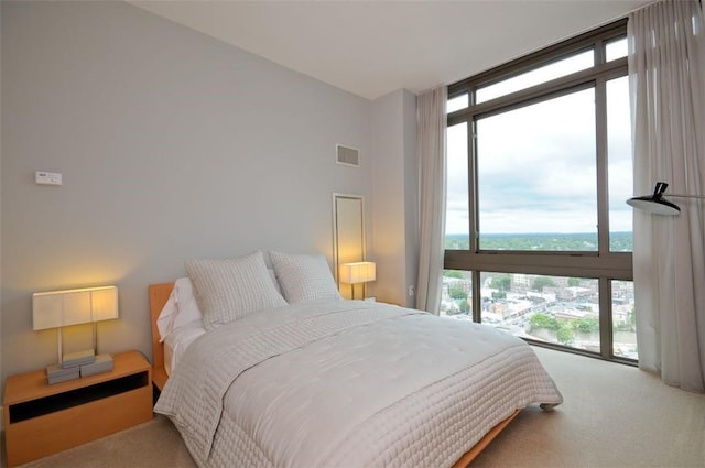 175 Huguenot St Unit 1607, New Rochelle, NY 10801 - bedroom featuring carpet flooring, floor to ceiling windows, multiple windows, and a water view