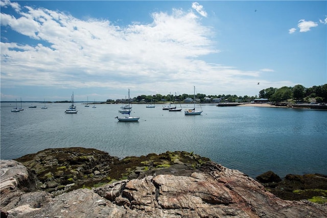 175 Huguenot St Unit 1607, New Rochelle, NY 10801 - water view