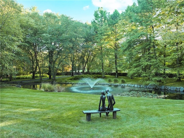 surrounding community featuring a yard and a water view