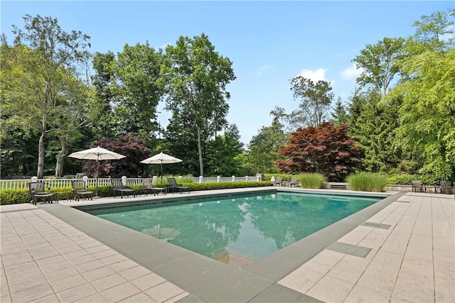 view of pool with a patio area