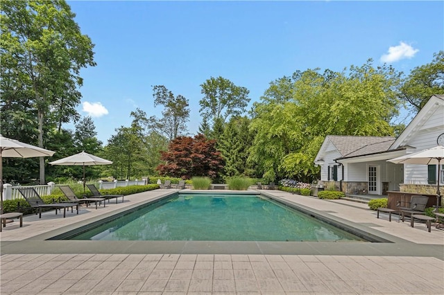 view of swimming pool with a patio area