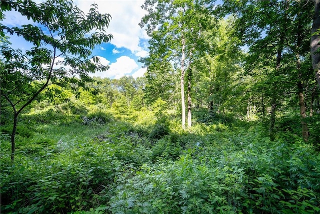 S Smith Rd, La Grange Ville NY, 12540 land for sale