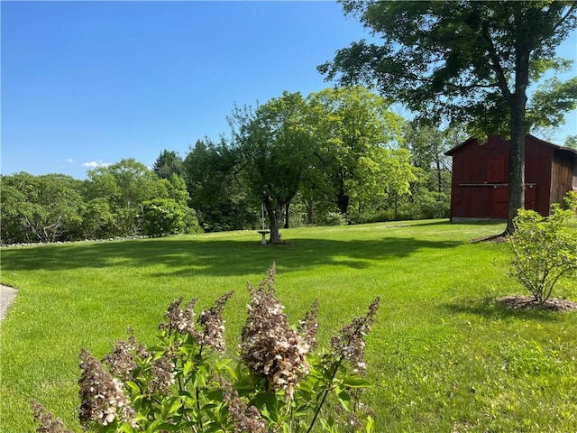 view of yard featuring an outbuilding