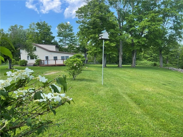 view of yard featuring a wooden deck