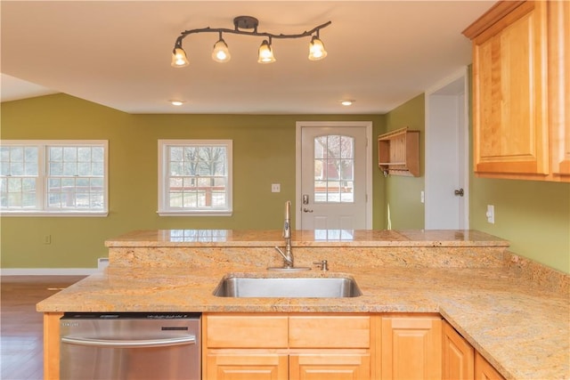 kitchen featuring dishwasher, hardwood / wood-style flooring, a wealth of natural light, and sink