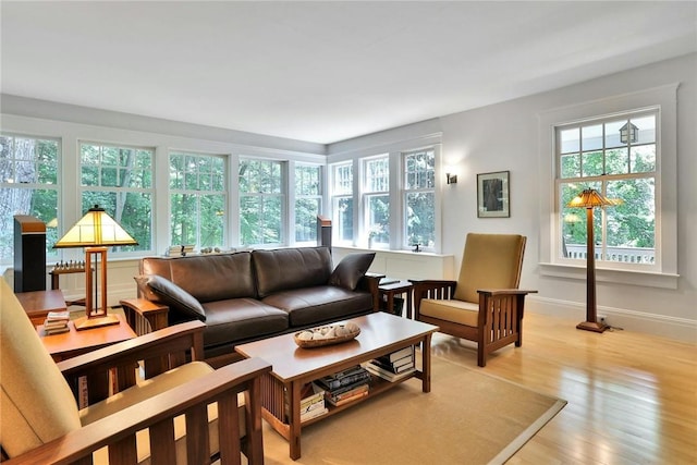 living room with light hardwood / wood-style flooring and a wealth of natural light