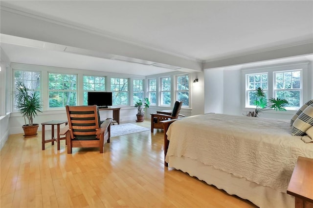 bedroom featuring light hardwood / wood-style floors, ornamental molding, and multiple windows