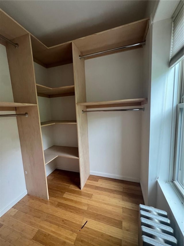 walk in closet featuring light hardwood / wood-style floors and radiator heating unit