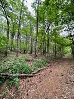 Gardner Dr, Port Jervis NY, 12771 land for sale