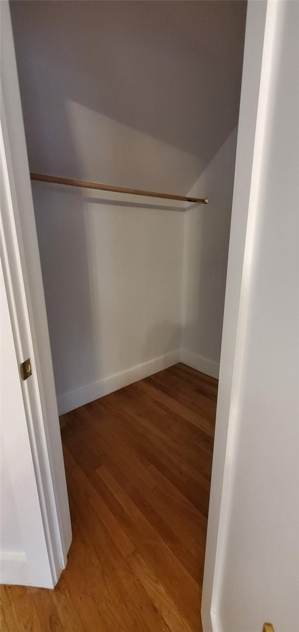 walk in closet with wood-type flooring