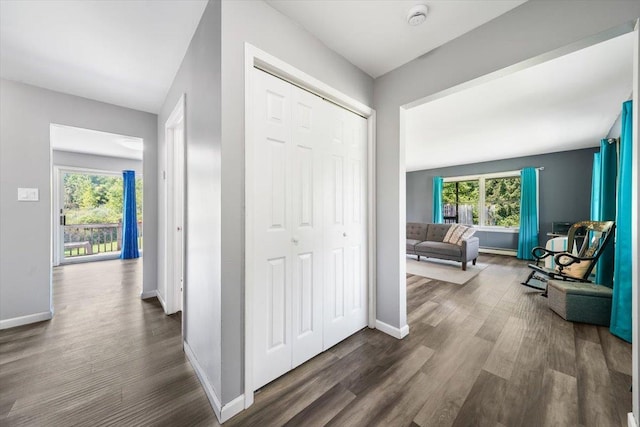 hallway featuring a healthy amount of sunlight and dark hardwood / wood-style floors