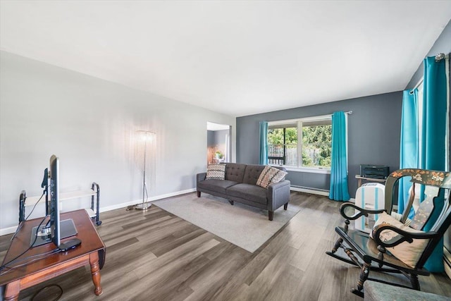 living room featuring wood-type flooring