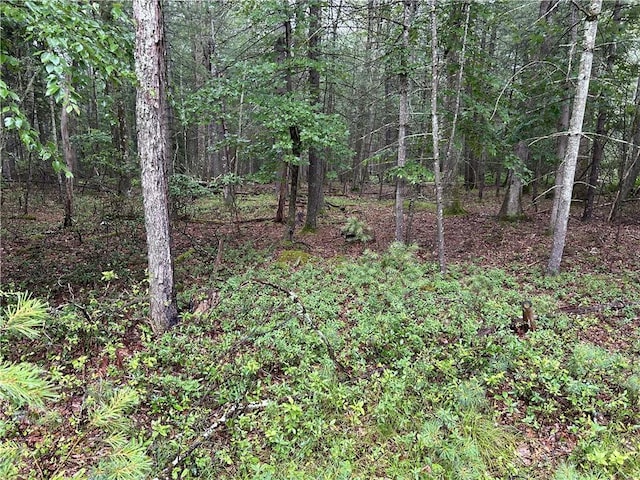 Listing photo 2 for LOT62.2 Lake View Dr, Highland Lake NY 12743