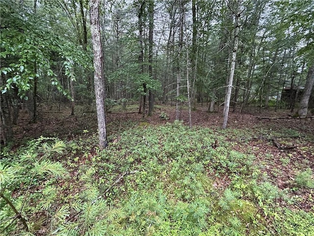 Listing photo 3 for LOT62.2 Lake View Dr, Highland Lake NY 12743