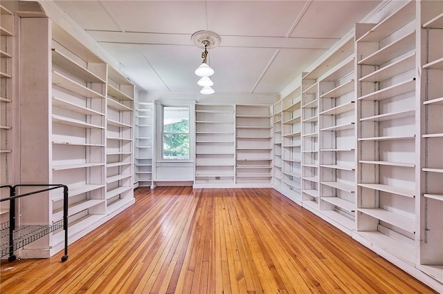 spacious closet with light hardwood / wood-style flooring