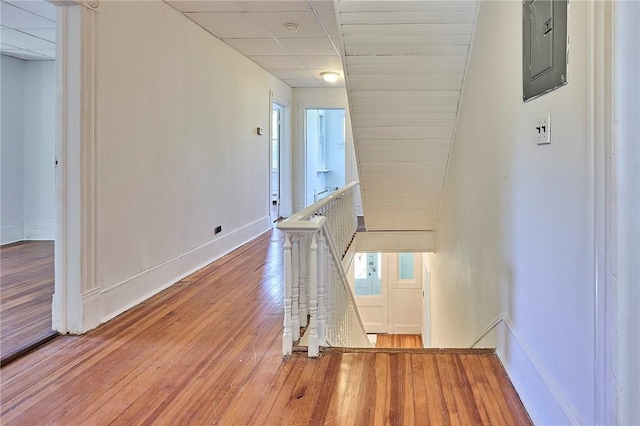 hallway with wood-type flooring, a drop ceiling, and electric panel