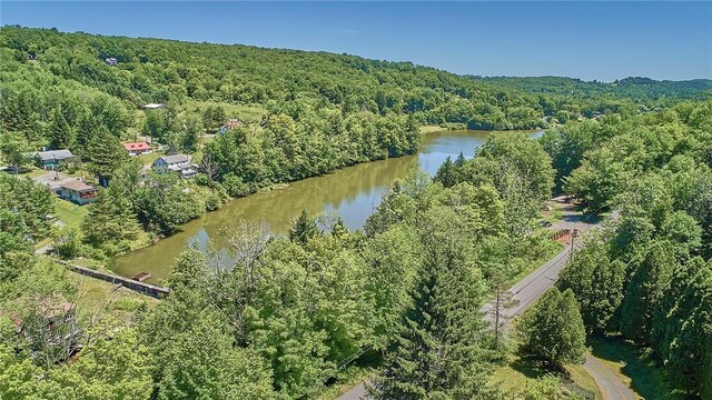 807 Swiss Hill Rd N, Jeffersonville, NY 12748 - photo 30