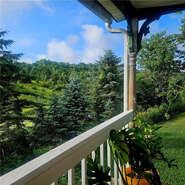 495 Swiss Hill Rd N, Jeffersonville, NY 12748 - photo 5