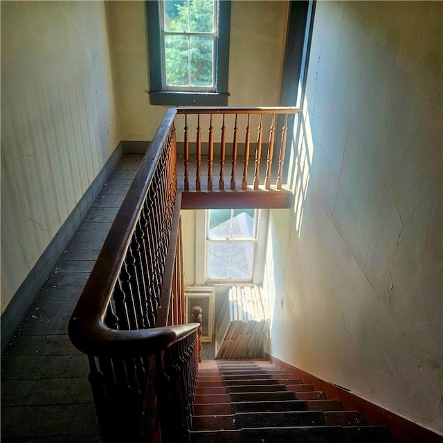 stairs featuring hardwood / wood-style flooring and plenty of natural light