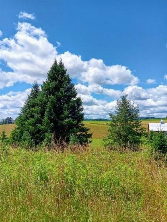 view of nature featuring a rural view