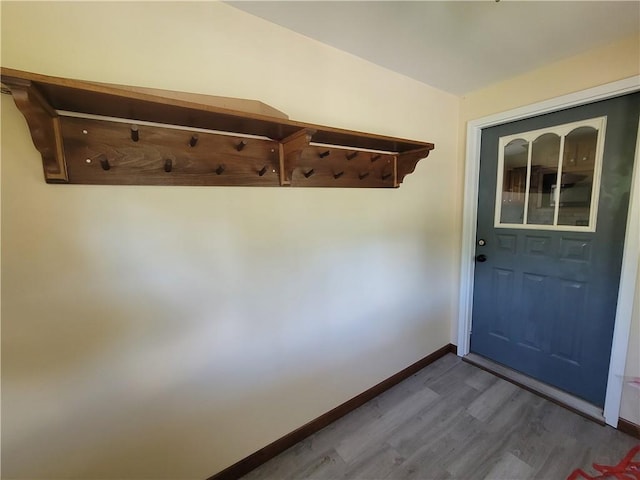 mudroom with hardwood / wood-style flooring