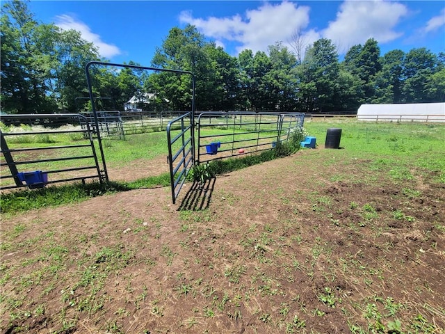 view of yard featuring a rural view