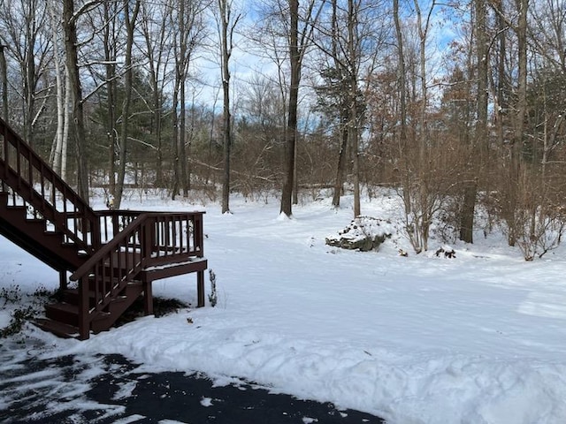 view of yard covered in snow