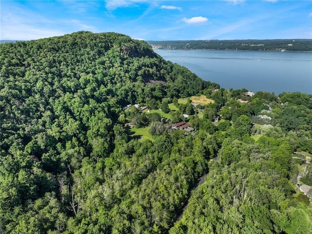 1 Badi Dr, Nyack, NY 10960