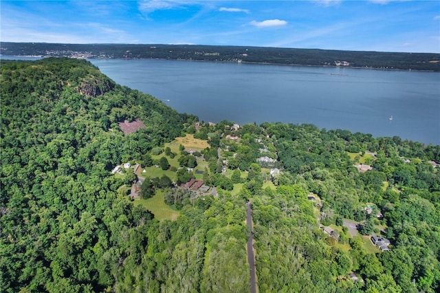 1 Badi Dr, Nyack, NY 10960