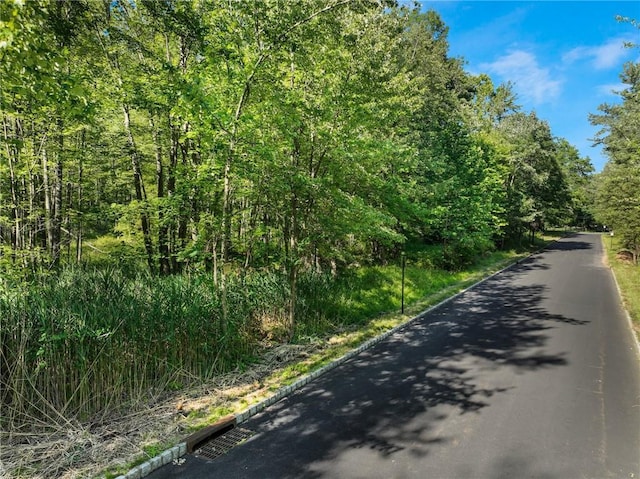 1 Badi Dr, Nyack, NY 10960