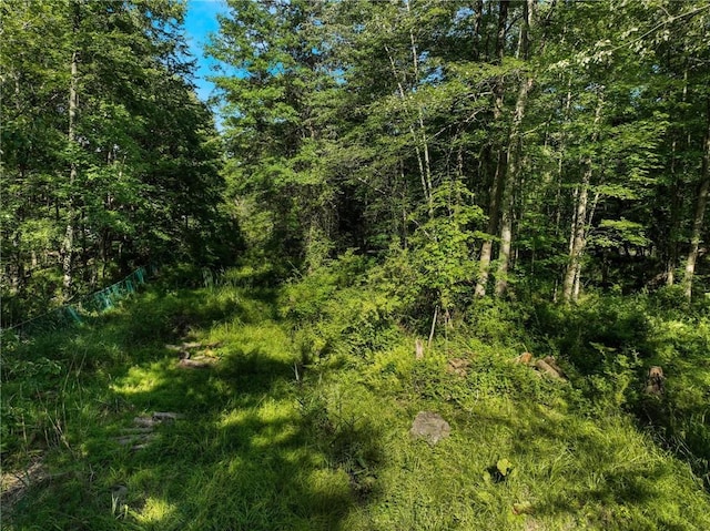 1 Badi Dr, Nyack, NY 10960
