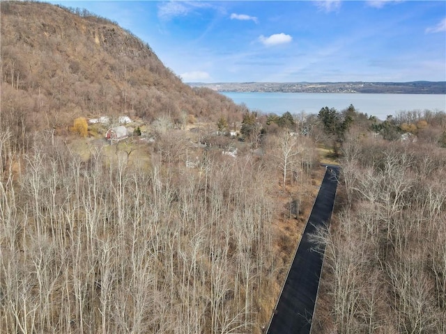 1 Badi Dr, Nyack, NY 10960