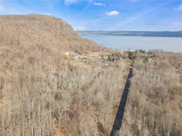 1 Badi Dr, Nyack, NY 10960