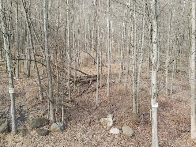 1 Badi Dr, Nyack, NY 10960