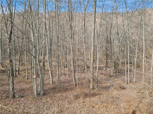 1 Badi Dr, Nyack, NY 10960